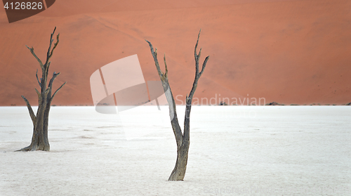 Image of Sossusvlei, Namibia