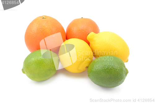 Image of Six citrus fruits - limes, lemons and oranges 