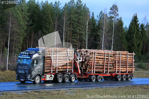 Image of Volvo FH16 Transports Pine Timber on Motorway