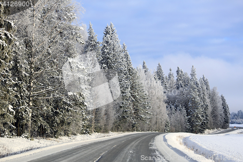 Image of Snowy Forest by Empty Main Road