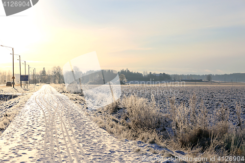 Image of Winter Footpath in Golden Sunlight