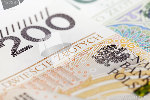 Image of Polish Zloty closeup