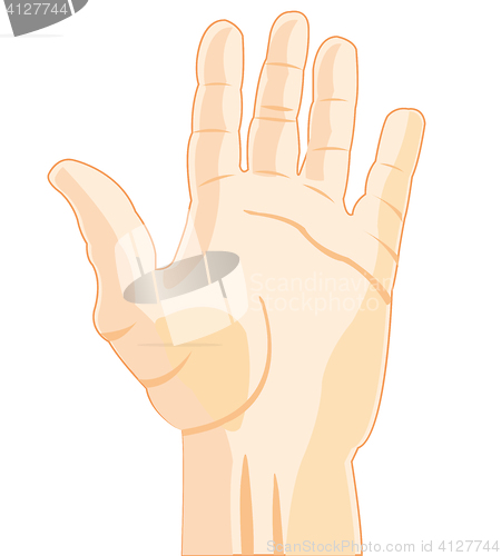 Image of Palm of the person