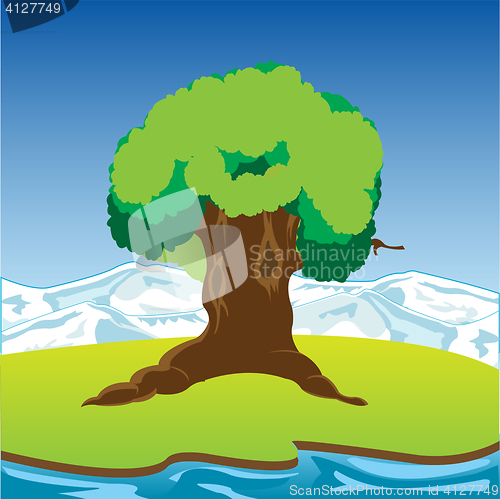 Image of Big riverside tree