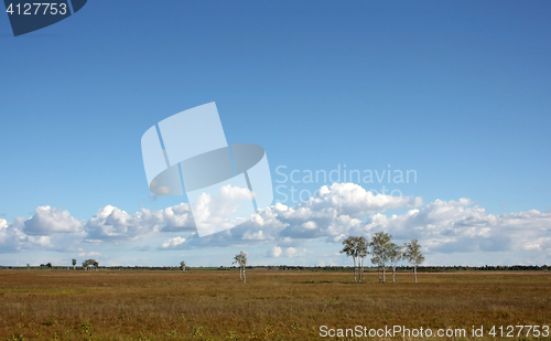 Image of andscape with clouds and field up to the horizon.