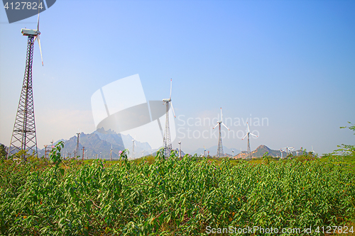 Image of Energy alternatives 6. Wind farm in Indian province of Kerala. 