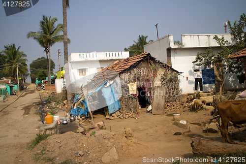 Image of Poor Indian household (farm) 8. Andhra Pradesh, Anantapur