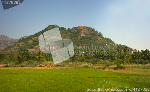Image of South India. Fields, groves of palm trees and a mansion in the foothills of the Cardamom mountains