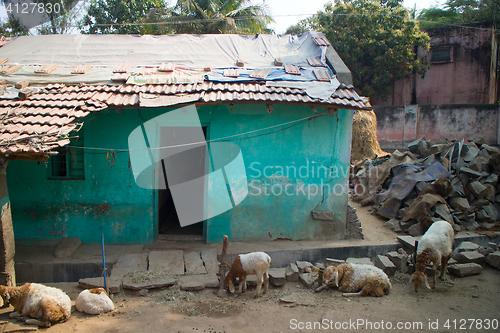 Image of Poor Indian household (farm) 9. Andhra Pradesh, Anantapur