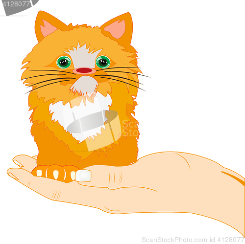 Image of Redhead kitty on palm