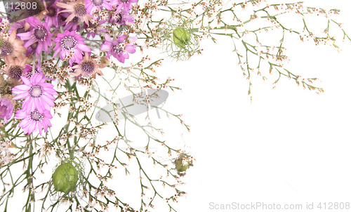 Image of flowers