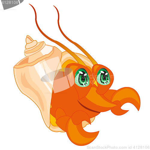 Image of Crab in seashell