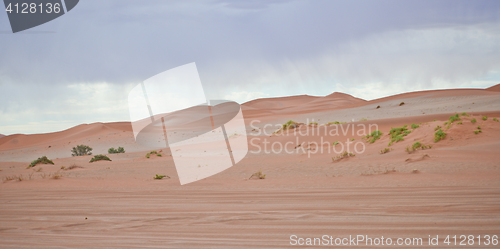 Image of sand dunes