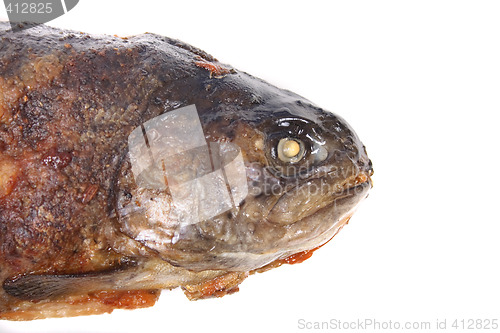 Image of baked fish