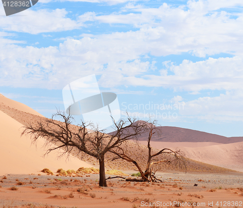 Image of desert landscape