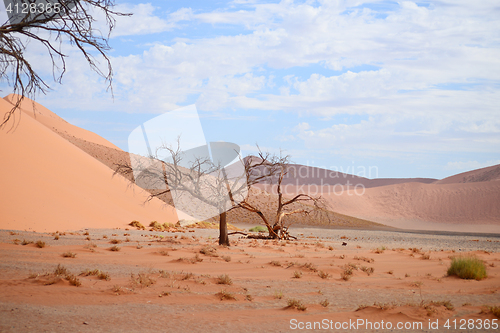 Image of desert landscape