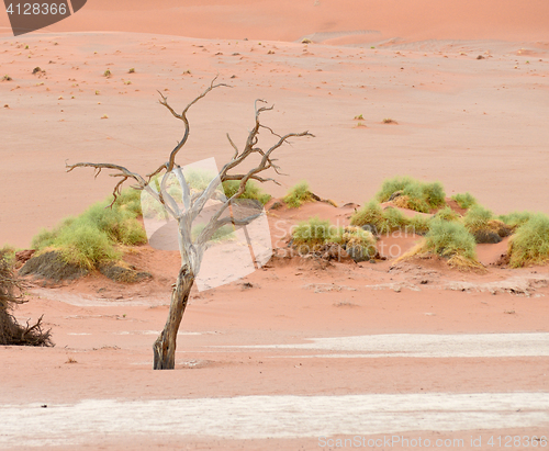 Image of desert landscape