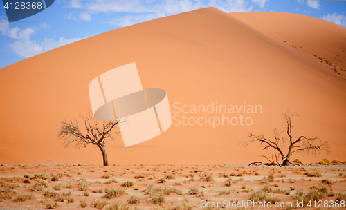 Image of sand dune