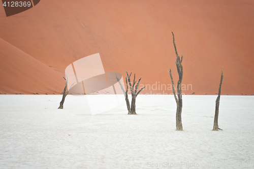 Image of Sossusvlei, Namibia