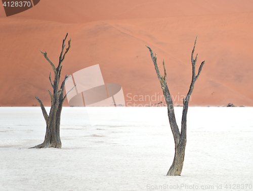 Image of Sossusvlei, Namibia