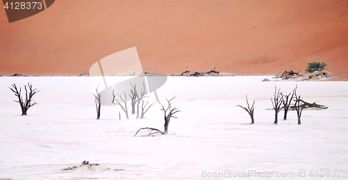 Image of Sossusvlei, Namibia