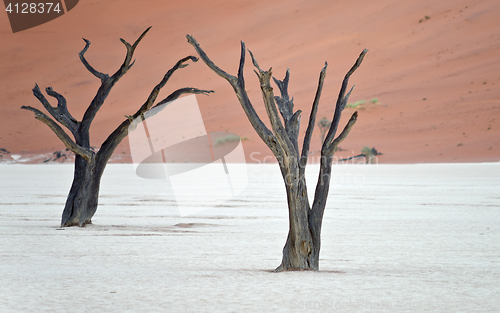 Image of Sossusvlei, Namibia