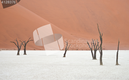 Image of Sossusvlei, Namibia