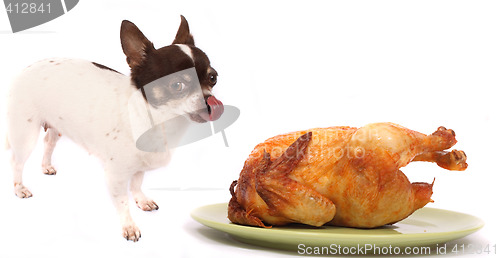 Image of dog and chicken