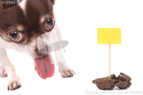 Image of dog and poo