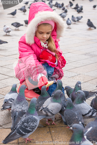 Image of Seven-year girl feeding pigeons with bread in the street