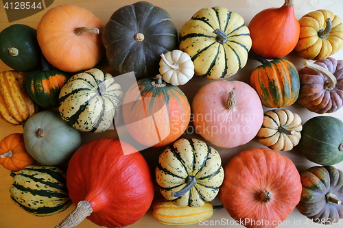 Image of Squash and pumpkins.