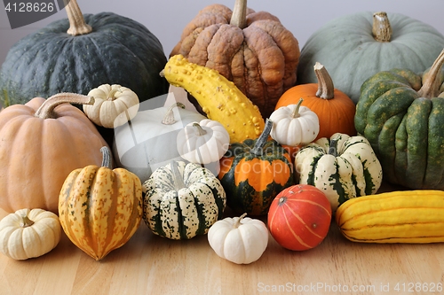 Image of Squash and pumpkins.