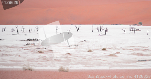 Image of Sossusvlei, Namibia