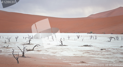 Image of Sossusvlei, Namibia