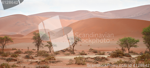 Image of sand dunes