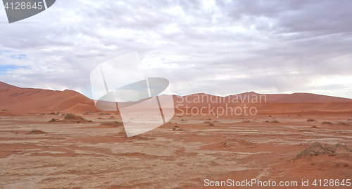 Image of desert landscape