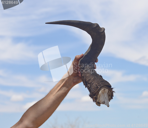 Image of horn in a hand