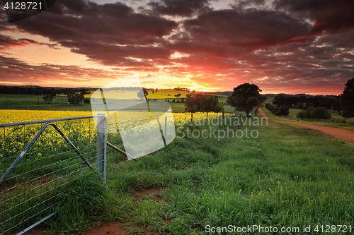 Image of Sunrise farmlands Australia