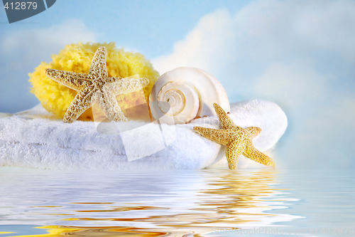 Image of Sea shells and towel