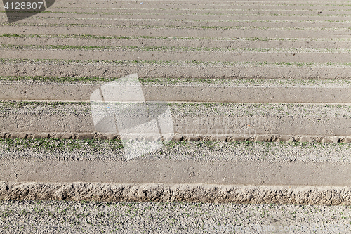 Image of furrows in the field