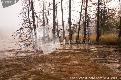 Image of Yellowstone National Park, Utah, USA