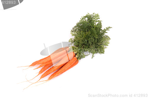 Image of carrot