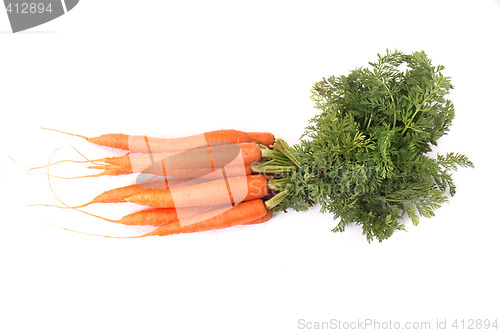 Image of carrot