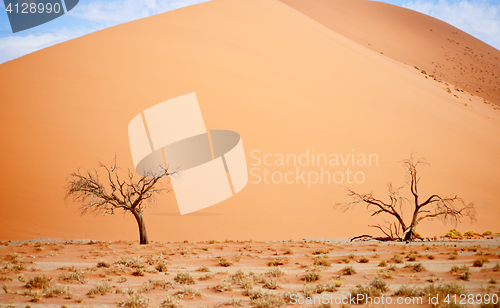 Image of sand dune