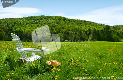 Image of White adirondack chair in a field of tall grass