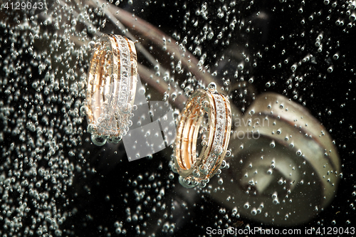 Image of Rings And Violin