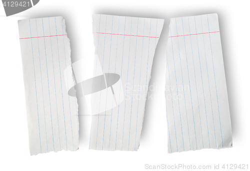 Image of Torn sheet of paper from a school notebook