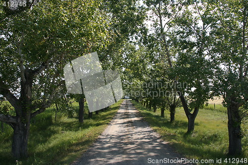 Image of Rural road