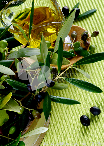 Image of Olive Oil and Olives