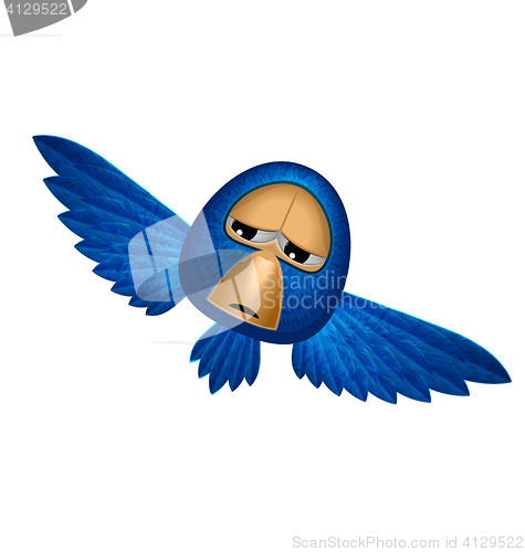 Image of Angry blue bird soars and looks to you